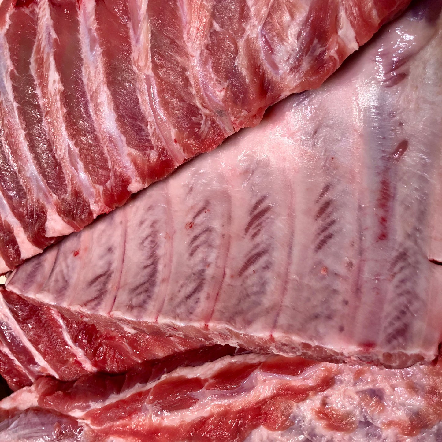 COSTINA (ribs) DI MAIALE CALABRESE (10,49€/KG)