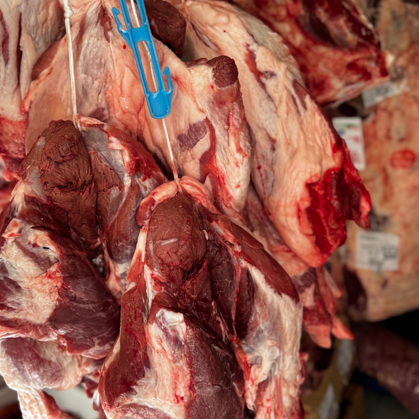 MIX CARNE PER SALSICCIA CALABRESE (8,49€/KG)