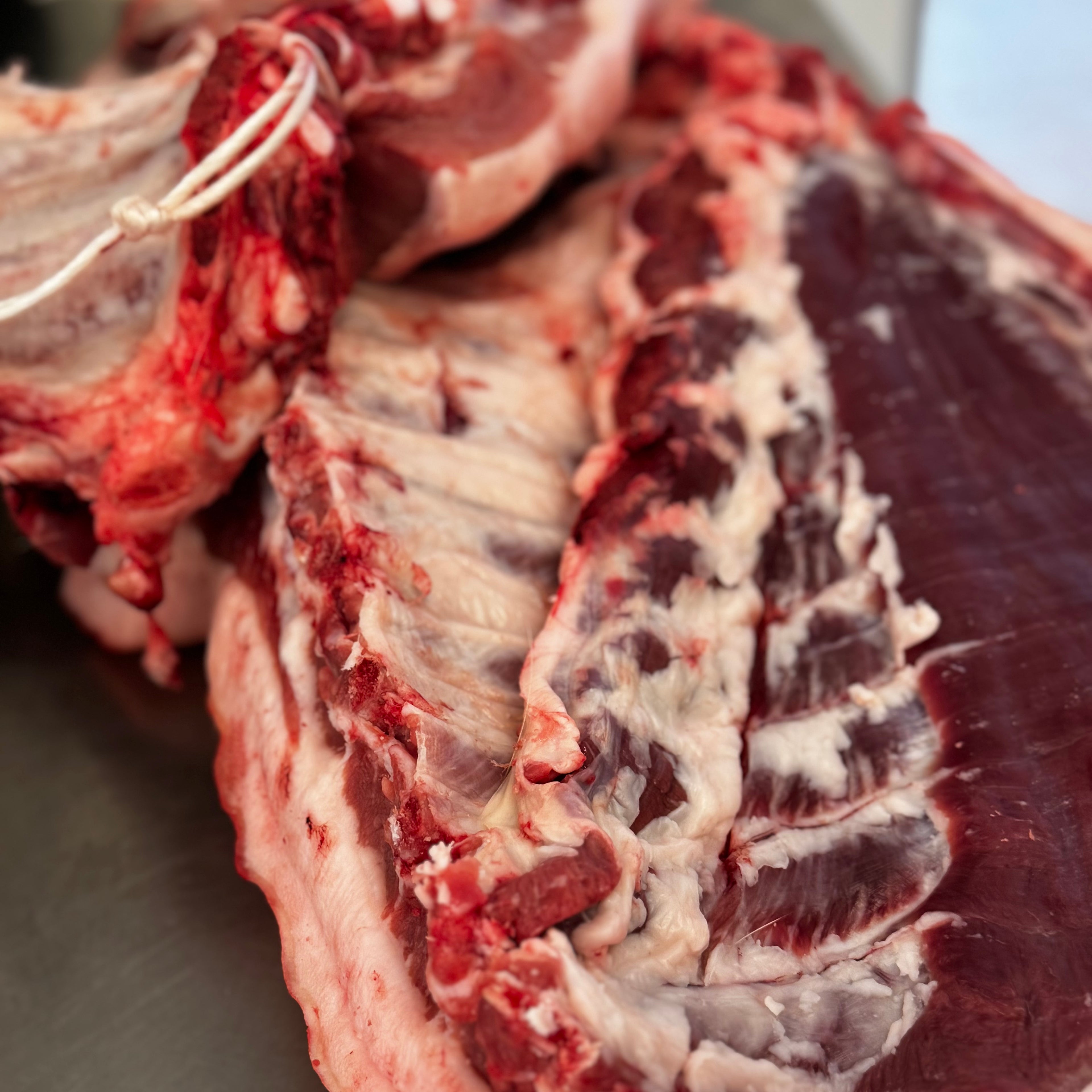 PANCETTA CON COSTINA (8,49€/KG)