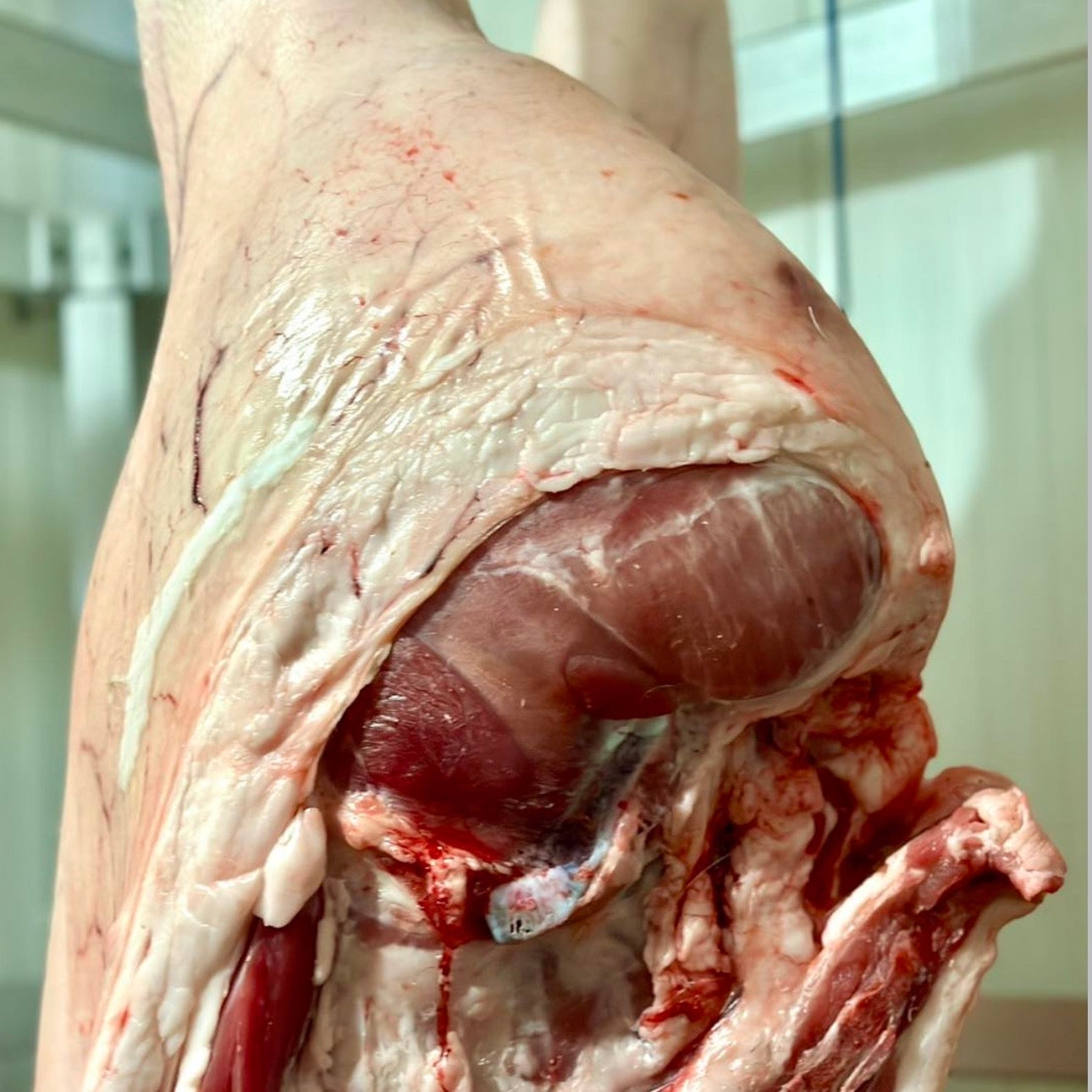 MEZZENA SUINO CALABRESE (5,90 €/KG)